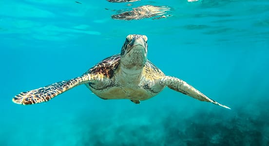 Belize Yacht Charter Top Tips