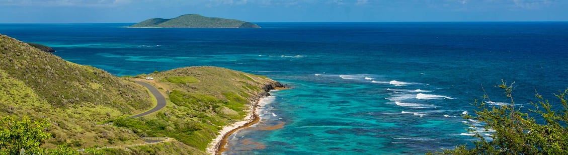 Buck Island