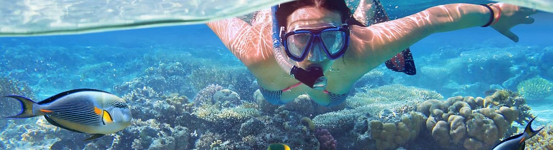 Snorkeling