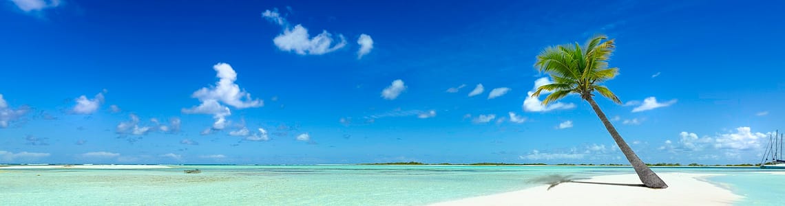 Solitary palm tree on a tropical beach with crystal clear water and a bright blue sky, perfect for a serene and exotic getaway.