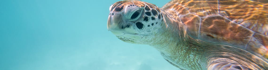 image 1 for Current Weather and Sailing Conditions in the Bahamas