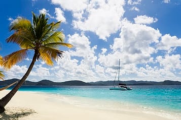 Tropical beach with palm tree and sailboat on turquoise water under blue sky with clouds.
