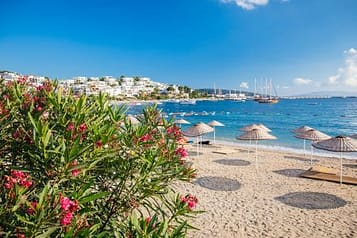 Sunny beach with straw umbrellas, pink flowers, and a view of coastal houses and boats on a clear blue sea.