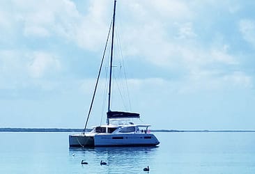 Catamaran anchored on calm sea under cloudy sky with ducks swimming nearby.