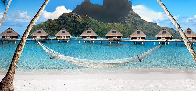 Tahiti Hammock