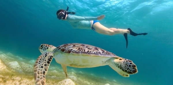 Snorkeling Spots in the US Virgin Islands