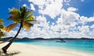 Tropical beach with palm tree and sailboat on turquoise water under blue sky with clouds.
